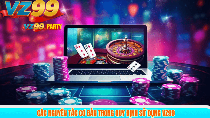 ĐIỀU KHOẢN VÀ ĐIỀU KIỆN 2 Các nguyên tắc cơ bản trong quy định sử dụng VZ99