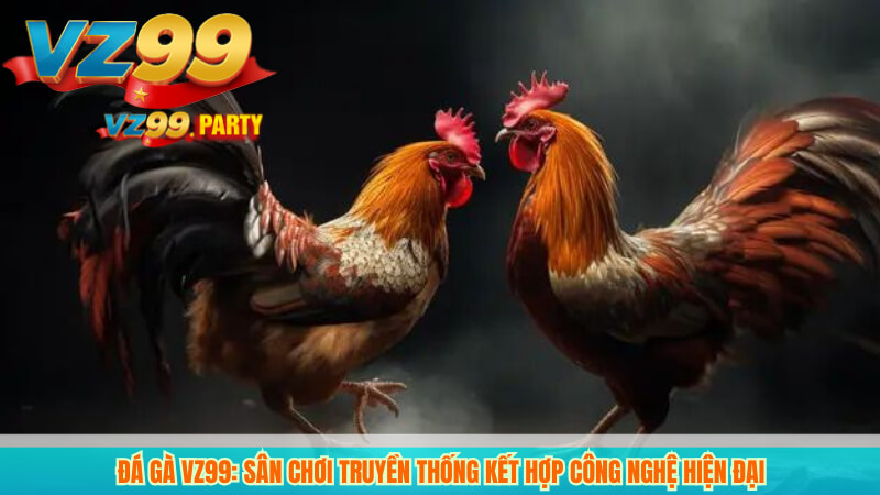 Đá gà VZ99: Sân chơi truyền thống kết hợp công nghệ hiện đại 3 Đá gà VZ99: Sân chơi truyền thống kết hợp công nghệ hiện đại