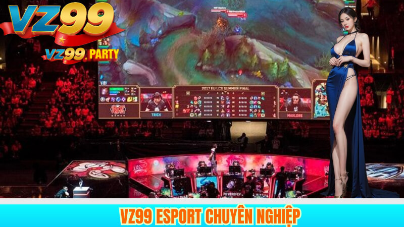 VZ99 Esport Chuyên Nghiệp – Đấu Trường Hàng Đầu Việt Nam 3 VZ99 esport chuyên nghiệp