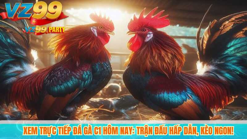 Xem trực tiếp đá gà C1 hôm nay: trận đấu hấp dẫn, kèo ngon! 4 Xem trực tiếp đá gà C1 hôm nay: trận đấu hấp dẫn, kèo ngon!